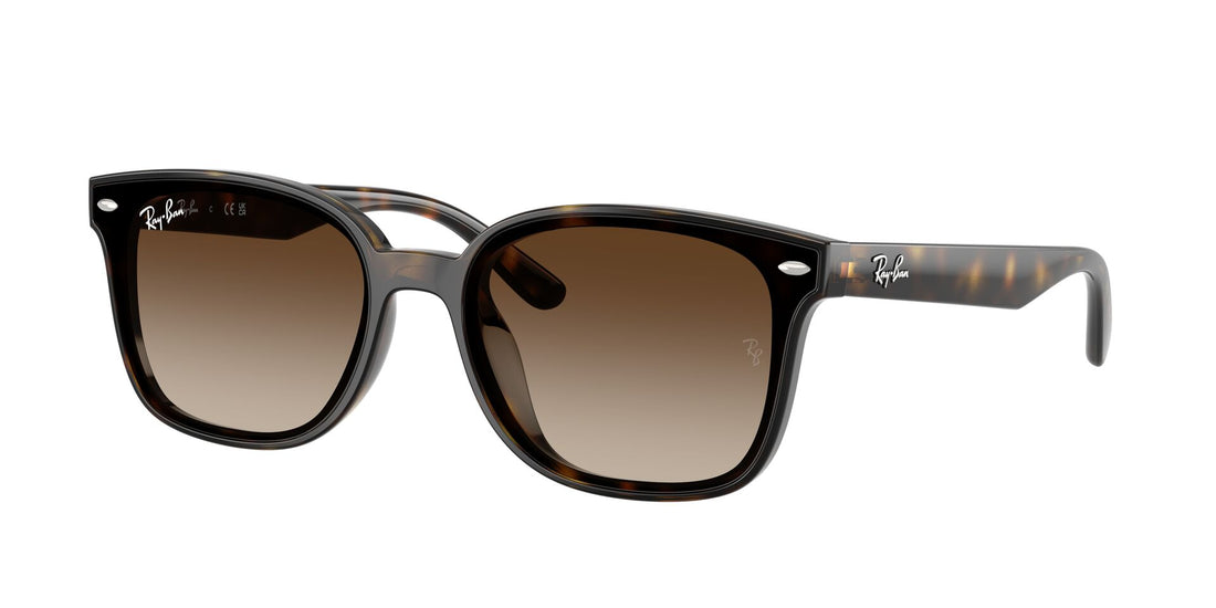 Translation missing: es.seo.product.type.gafas-de-sol ray-ban rb4461d 710/13 havana rectangular unisex talla 64mm - Translation missing: es.seo.product.alt.imagen-principal