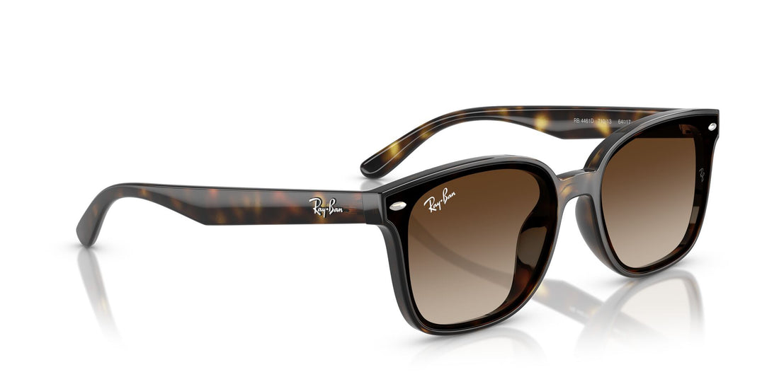 Translation missing: es.seo.product.type.gafas-de-sol ray-ban rb4461d 710/13 havana rectangular unisex talla 64mm - Translation missing: es.seo.product.alt.imagen-secundaria