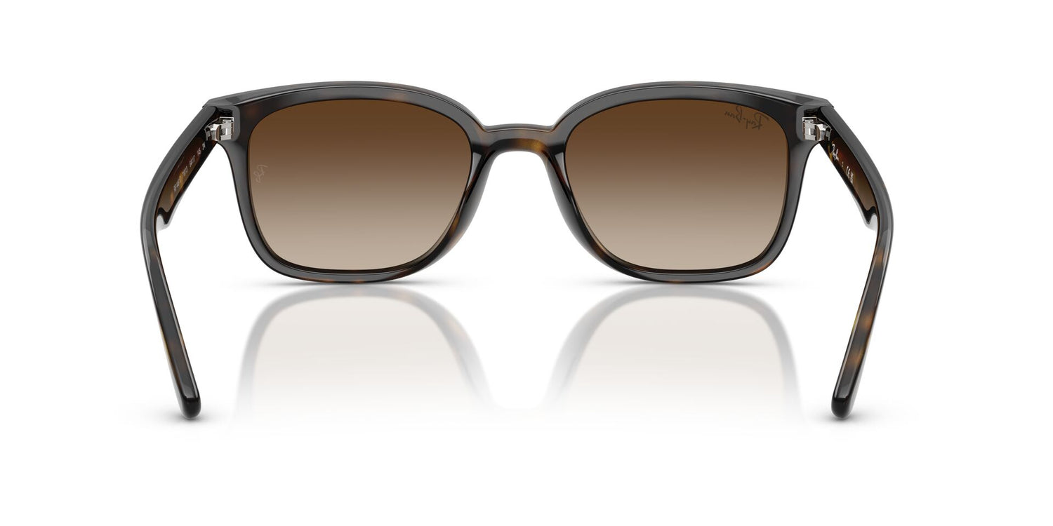 RAY-BAN RB4461D 710/13 64