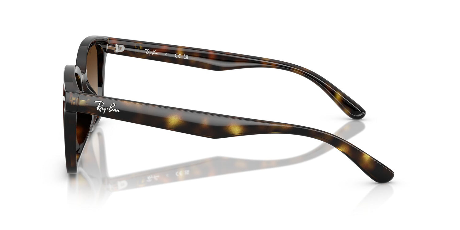 RAY-BAN RB4461D 710/13 64