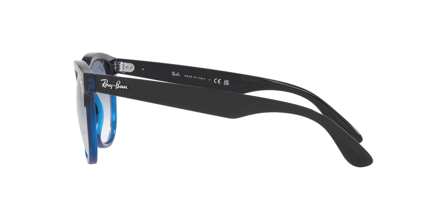 RAY-BAN RB4471 IRIS 663219 54