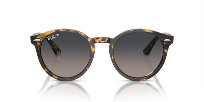 RAY-BAN RB7680S LARRY 1332GL 49