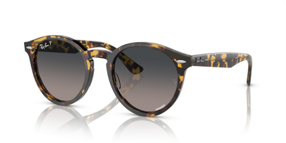 RAY-BAN RB7680S LARRY 1332GL 49