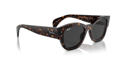 RAY-BAN RB7681S JORGE 902/48 52
