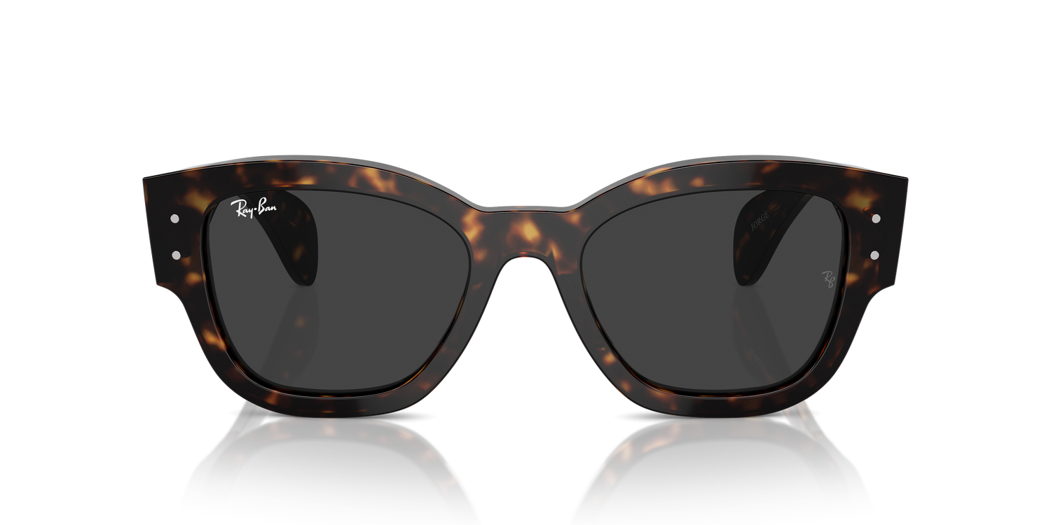 RAY-BAN RB7681S JORGE 902/48 52
