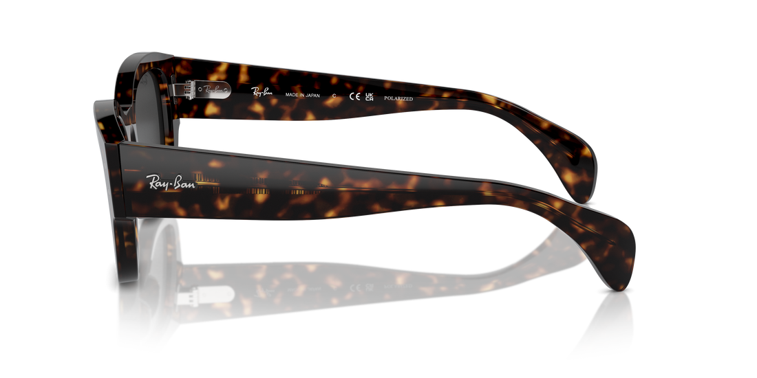 RAY-BAN RB7681S JORGE 902/48 52