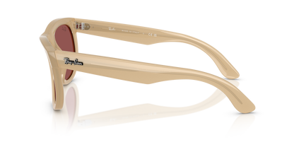 RAY-BAN RBR0502S WAYFARER REVERSE 678069 53
