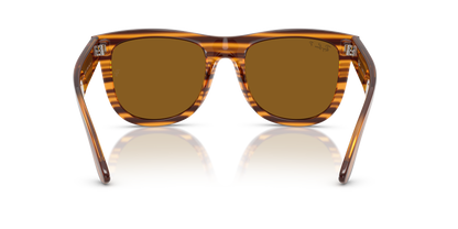 RAY-BAN RBR0502S WAYFARER REVERSE 679183 53