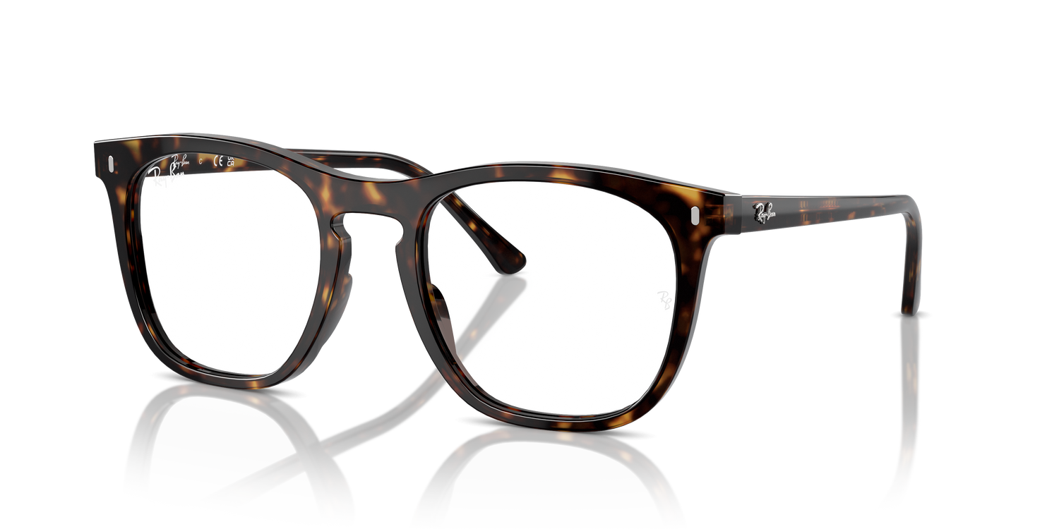 RAY-BAN RX2210V 2012 51