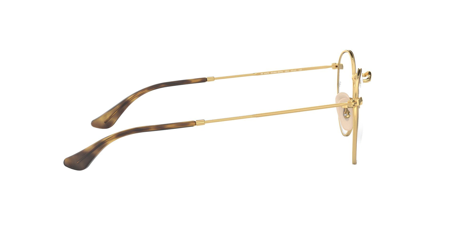 RAY-BAN RX3447V ROUND METAL 2945 47