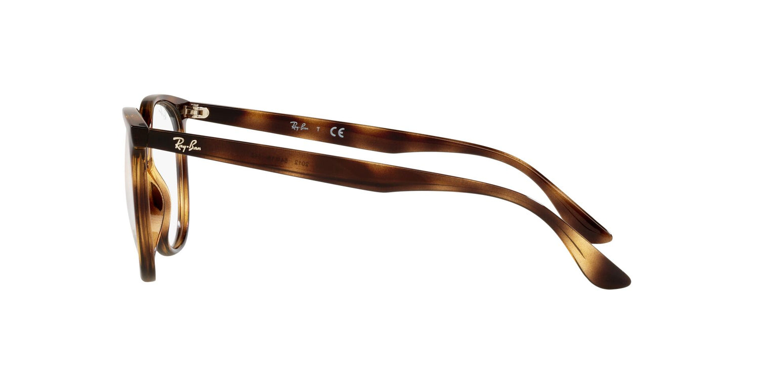 RAY-BAN RX4378V 2012 54