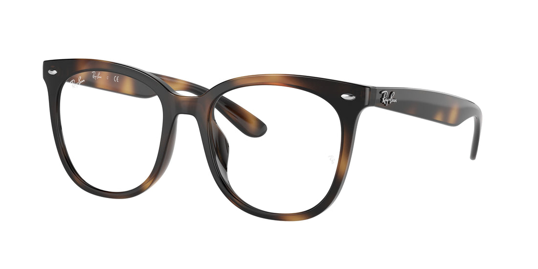 RAY-BAN RX4379VD 2012 53