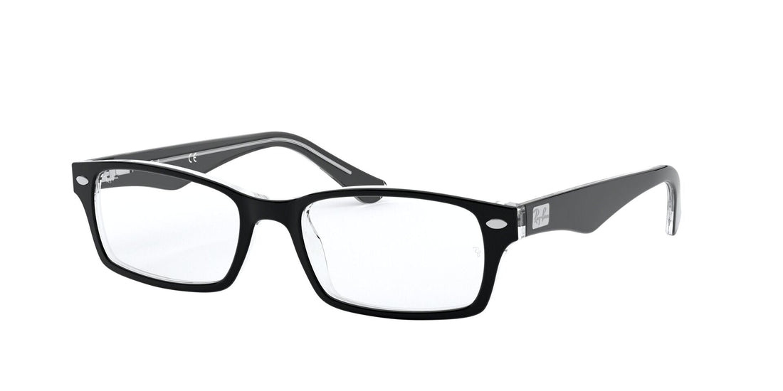 RAY-BAN RX5206 2034 52