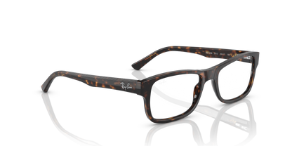 RAY-BAN RX5268 2012 52