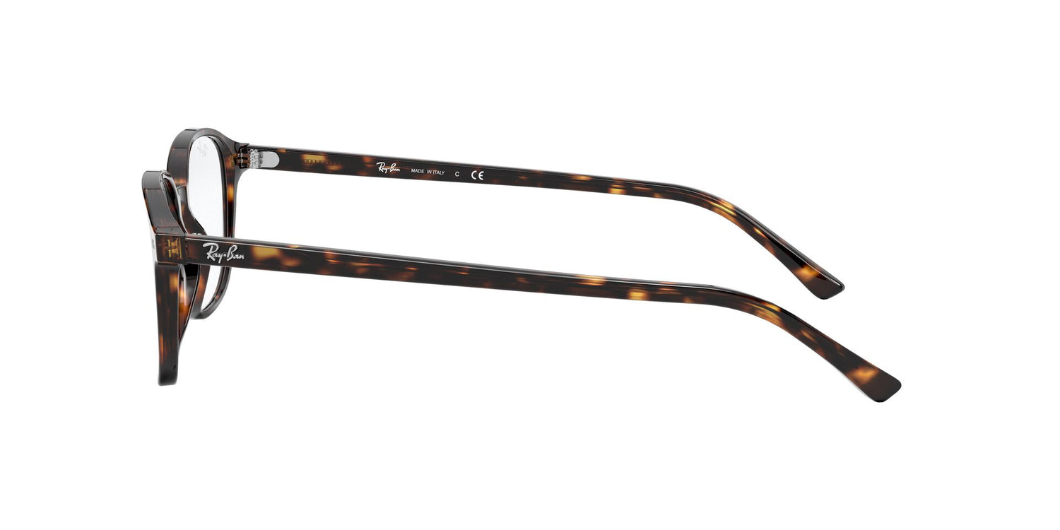 RAY-BAN RX5393 LEONARD 2012 49
