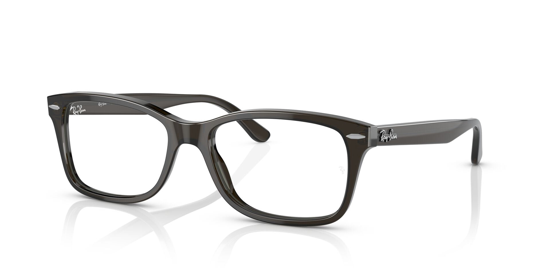 RAY-BAN RX5428 8299 55