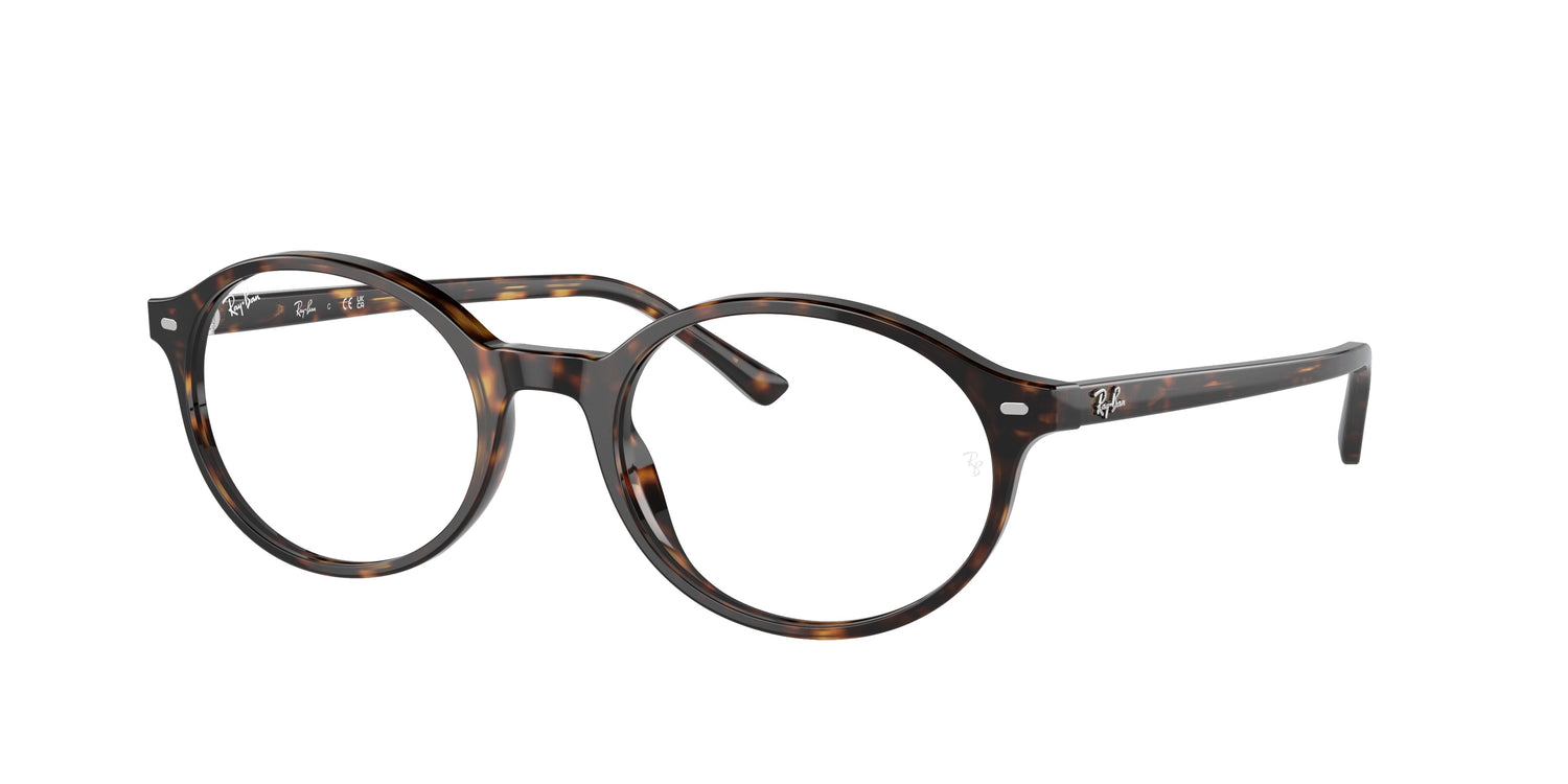 RAY-BAN RX5429 GERMAN 2012 53