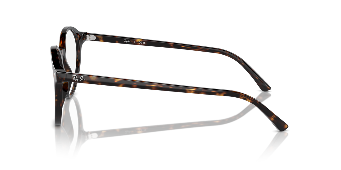 RAY-BAN RX5430 BERNARD 2012 51