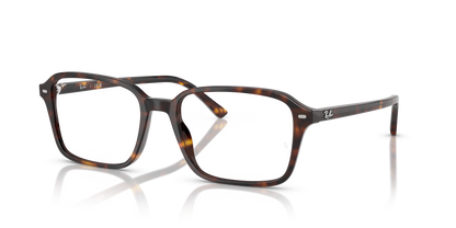 RAY-BAN RX5431 RAIMOND 2012 56