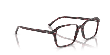 RAY-BAN RX5431 RAIMOND 8393 54
