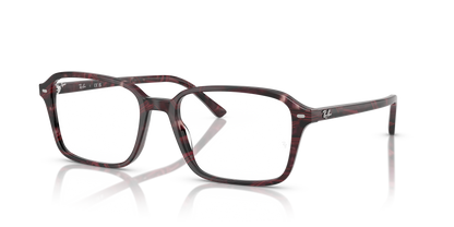 RAY-BAN RX5431 RAIMOND 8393 54