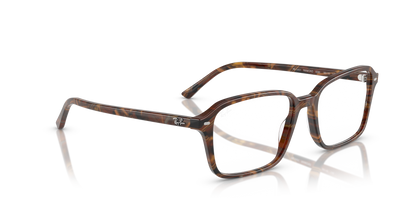 RAY-BAN RX5431 RAIMOND 8395 54