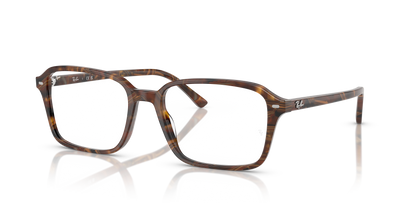 RAY-BAN RX5431 RAIMOND 8395 54
