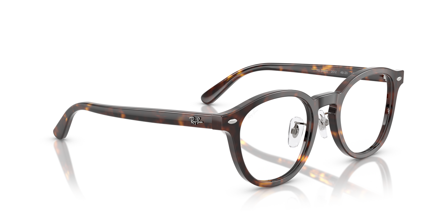 RAY-BAN RX5443D 2012 49
