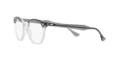 RAY-BAN RX5598 EAGLEEYE 8111 51