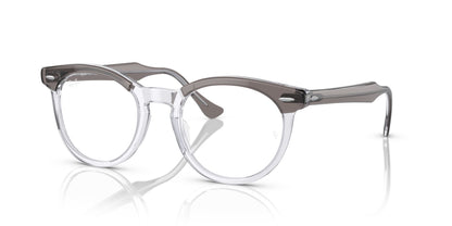 RAY-BAN RX5598 EAGLEEYE 8111 51