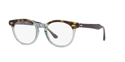 RAY-BAN RX5598 EAGLEEYE 8249 51