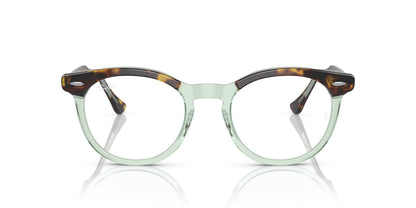 RAY-BAN RX5598 EAGLEEYE 8249 49