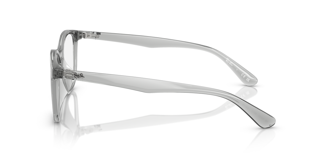 RAY-BAN RX7093D 8012 54