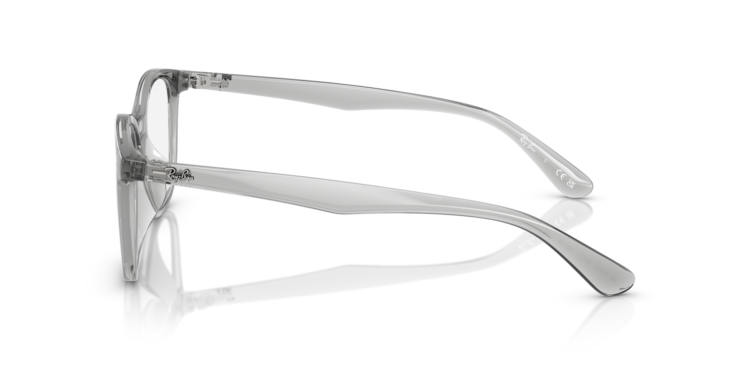 RAY-BAN RX7093D 8012 54