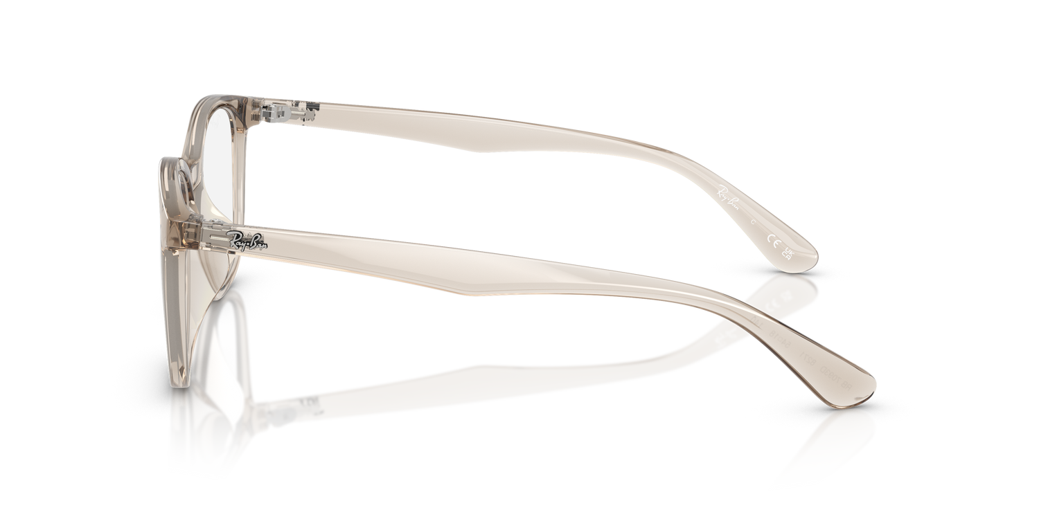 RAY-BAN RX7093D 8271 54