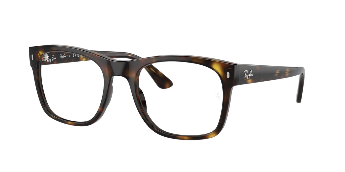 RAY-BAN RX7228 2012 53