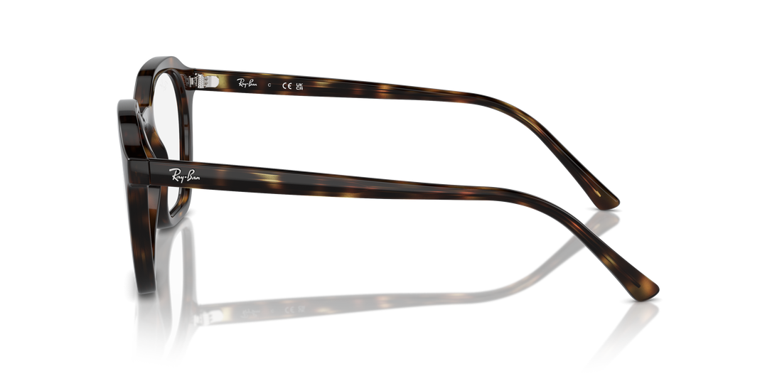 RAY-BAN RX7238 ALICE 2012 52