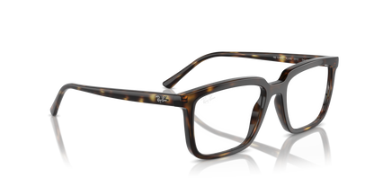 RAY-BAN RX7239 ALAIN 2012 54