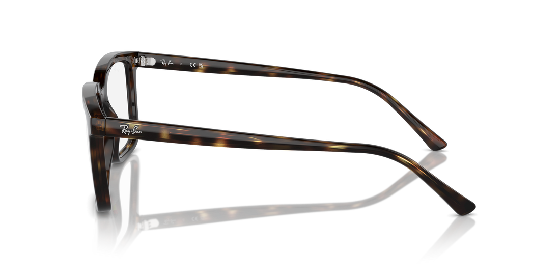 RAY-BAN RX7239 ALAIN 2012 54