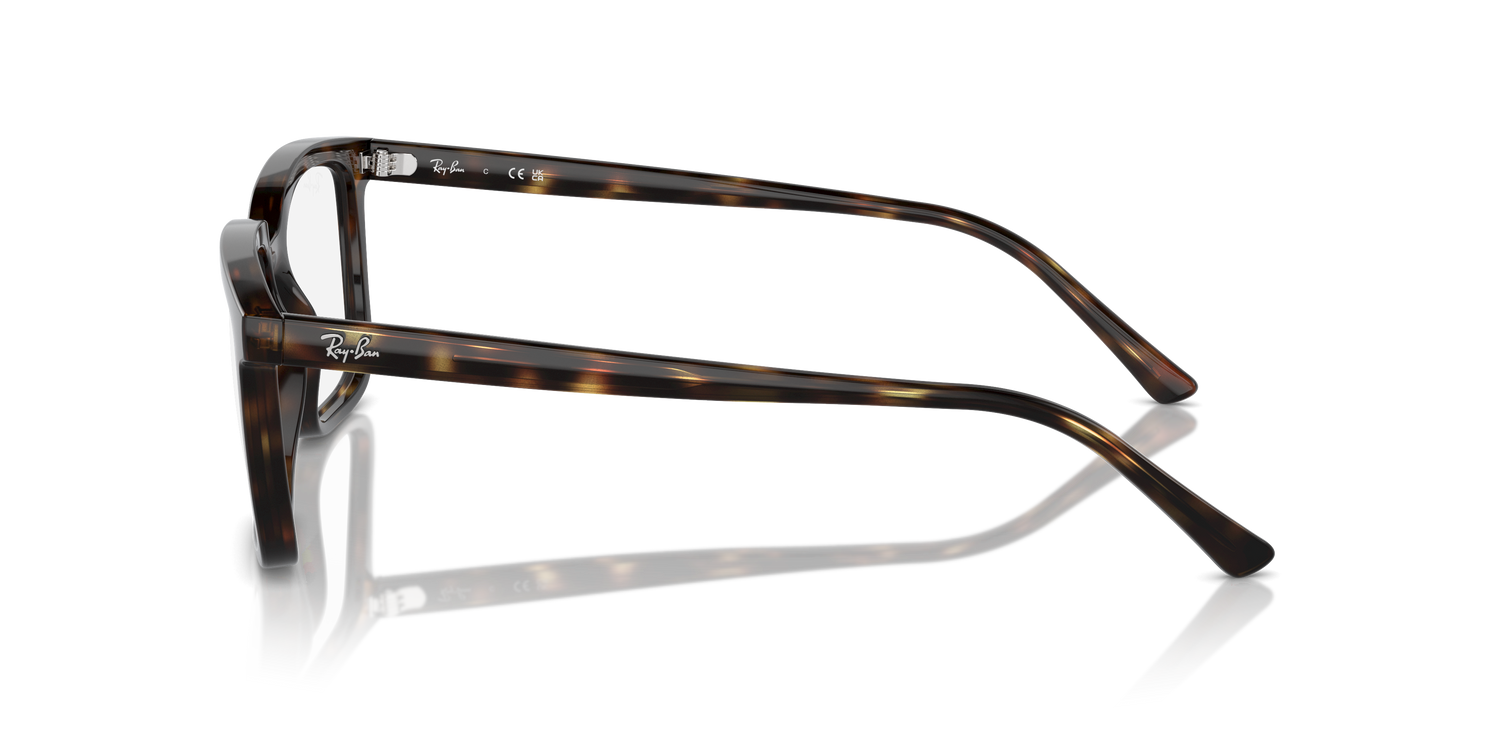 RAY-BAN RX7239 ALAIN 2012 54