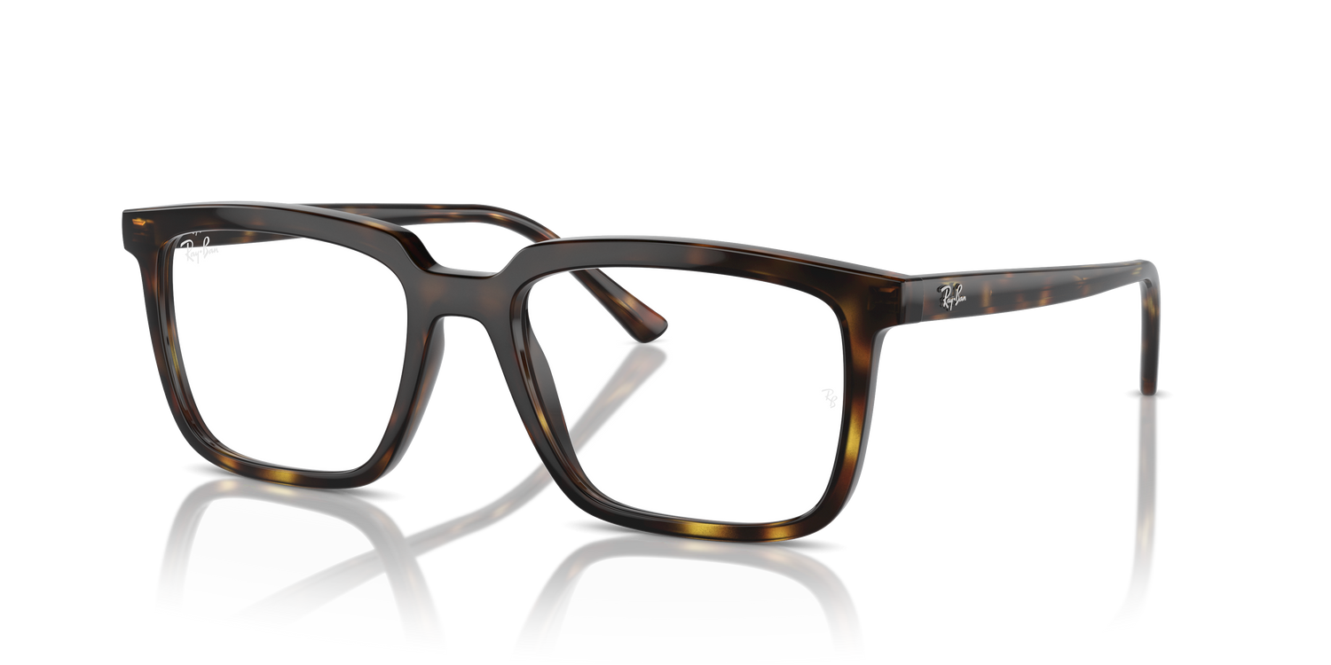 RAY-BAN RX7239 ALAIN 2012 54