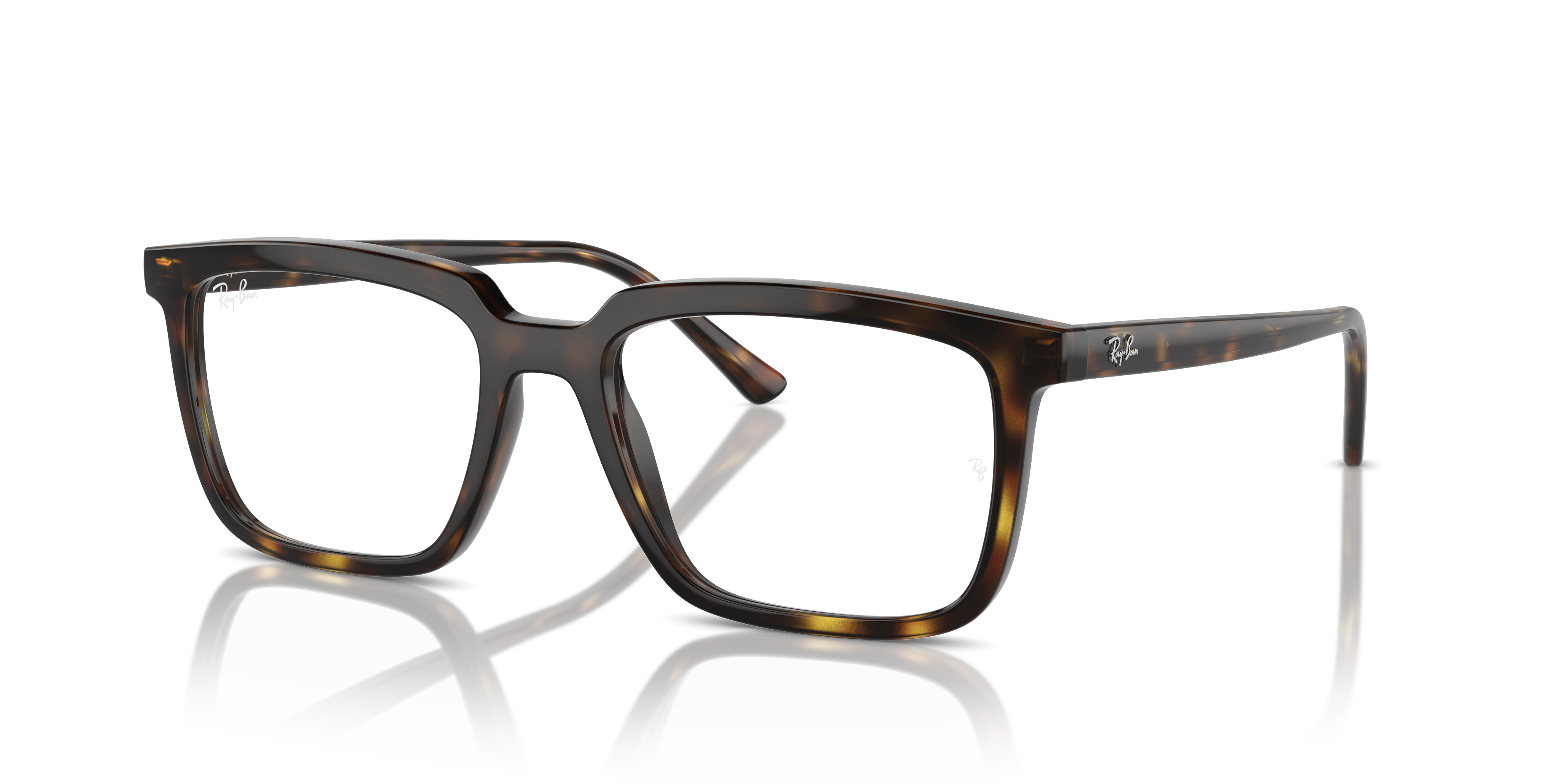 RAY-BAN RX7239 ALAIN 2012 54