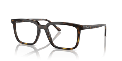 RAY-BAN RX7239 ALAIN 2012 54