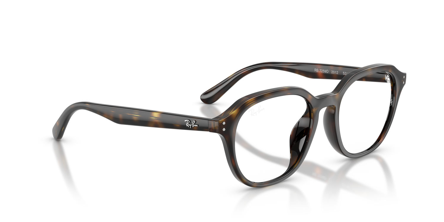 RAY-BAN RX7259D 2012 52