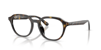 RAY-BAN RX7259D 2012 52
