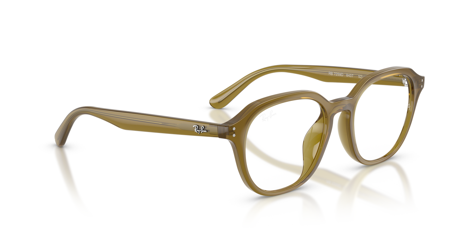 RAY-BAN RX7259D 8437 52