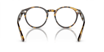 RAY-BAN RX7680V LARRY 8116 49