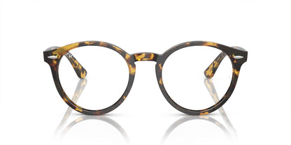 RAY-BAN RX7680V LARRY 8116 49