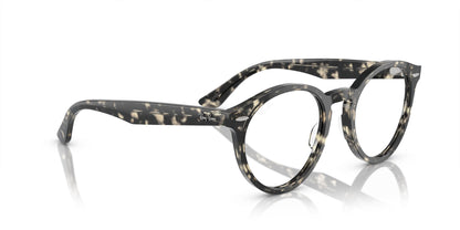 RAY-BAN RX7680V LARRY 8117 51