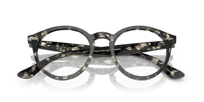 RAY-BAN RX7680V LARRY 8117 51